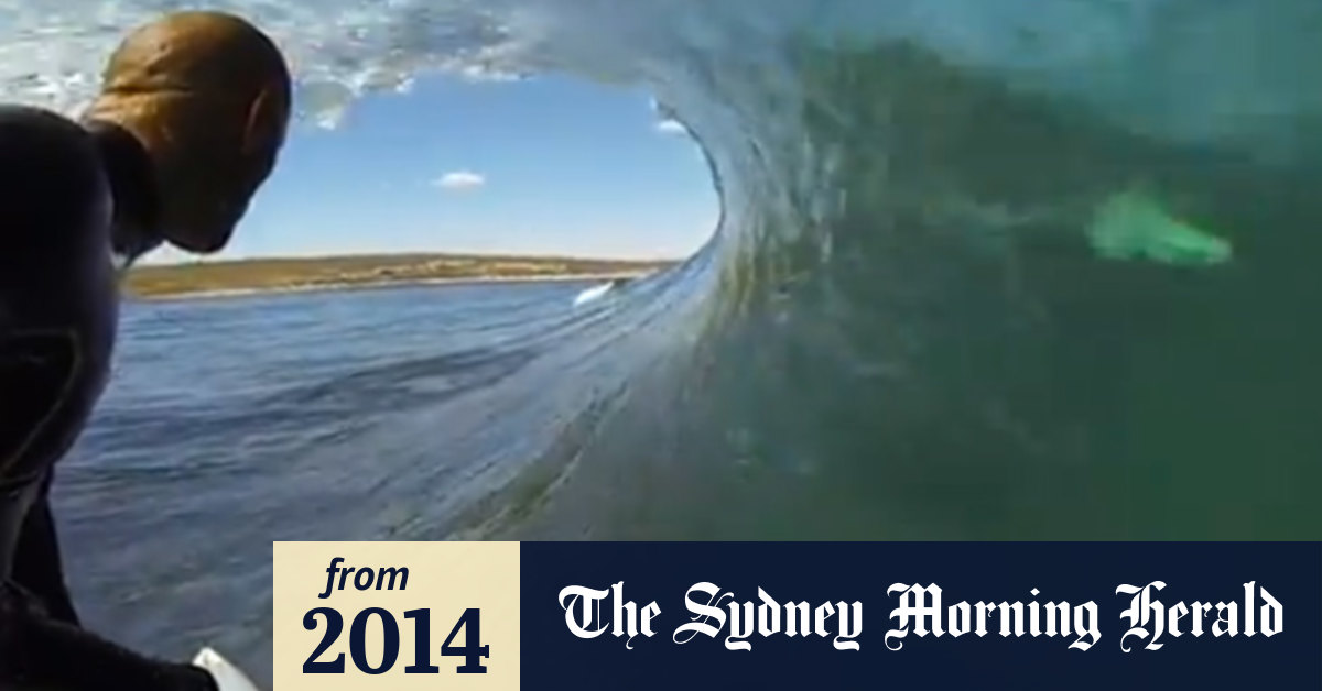 Video Shark photobombs surfer Kelly Slater?